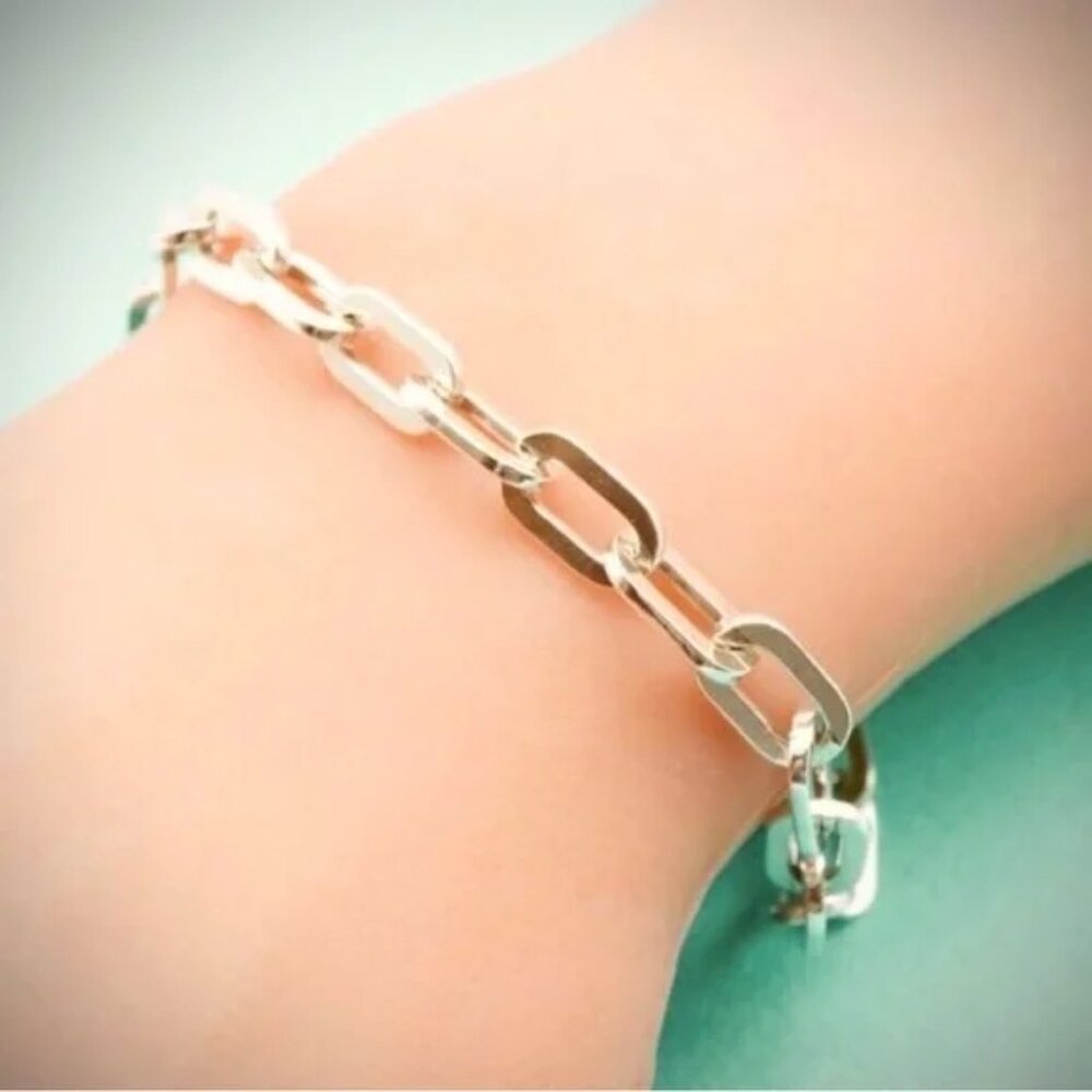 Tiffany & Co. Sterling Silver Ellipse Flat Rectangle Chain Link Bracelet